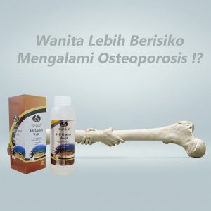 Jelli Gamat Walit Mengurangi Gejala Osteoporosis