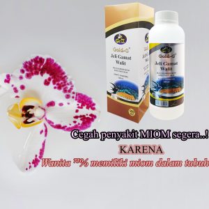 Obat Herbal Miom Gamat Walit Original