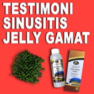 Testimoni Jelly Gamat Gold G Untuk Sinusitis