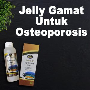 Jelly Gamat Untuk Osteoporosis Jelly Gamat Walet