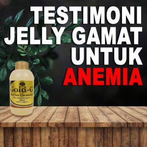 Testimoni Jelly Gamat Gold G Untuk Anemia