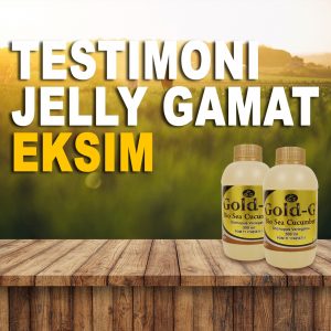 Testimoni Jelly Gamat Gold G Untuk Eksim