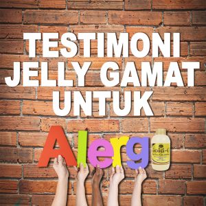Testimoni Jelly Gamat Gold G Untuk Alergi