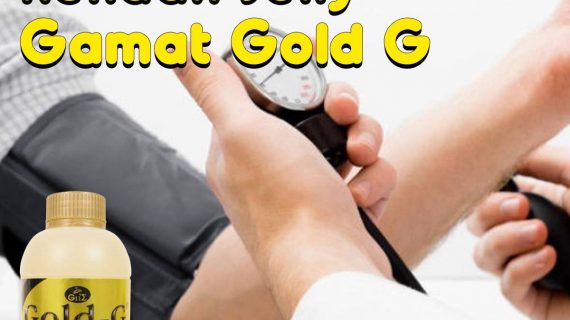 Obat Darah Rendah Jelly Gamat Gold G