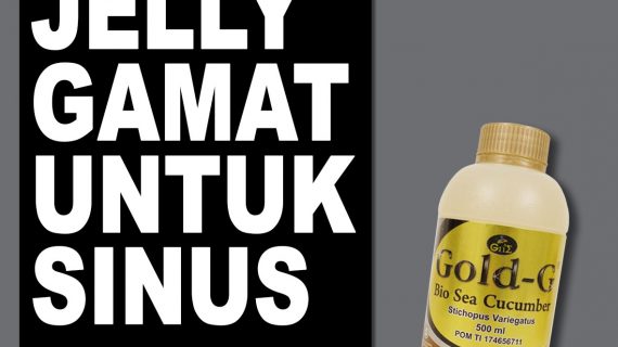 Jelly Gamat Gold G Untuk Sinusitis