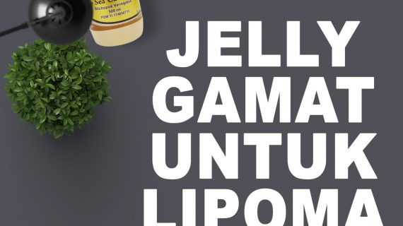 Jelly Gamat Gold G Untuk Lipoma