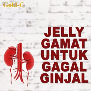 Jelly Gamat Gold G Untuk Gagal Ginjal