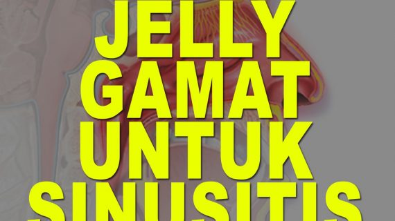 Cara Atasi Sinusitis Dengan Jelly Gamat