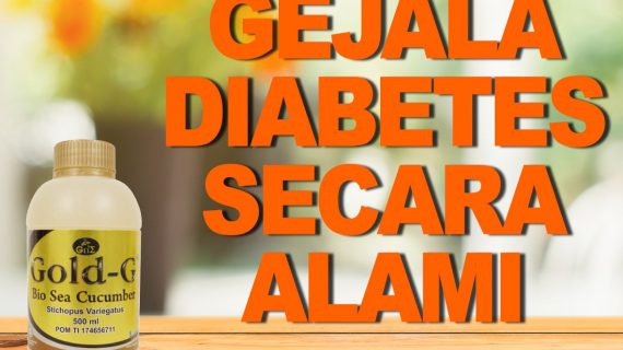 Cegah Gejala Diabetes Dengan Jelly Gamat
