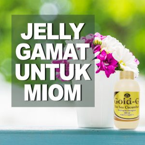 Jelly Gamat Original Untuk Miom